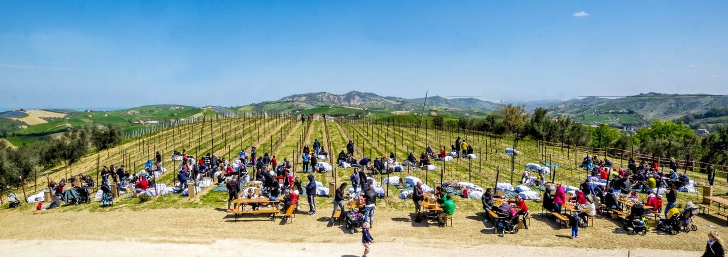 Pic Nic in the Vineyard for Easter Monday