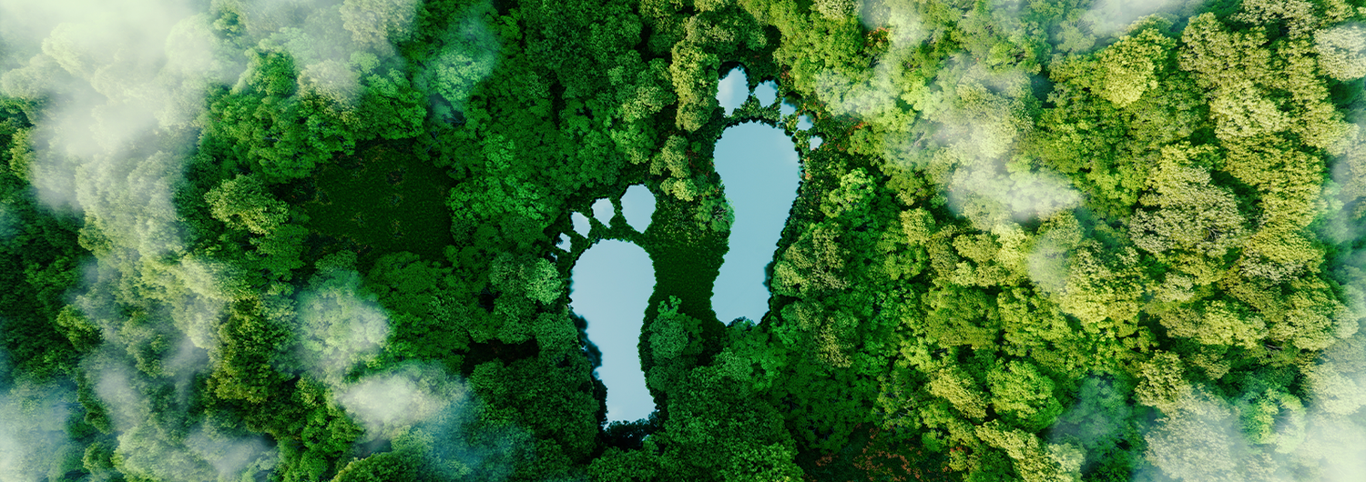 Carbon Neutral Deliveries