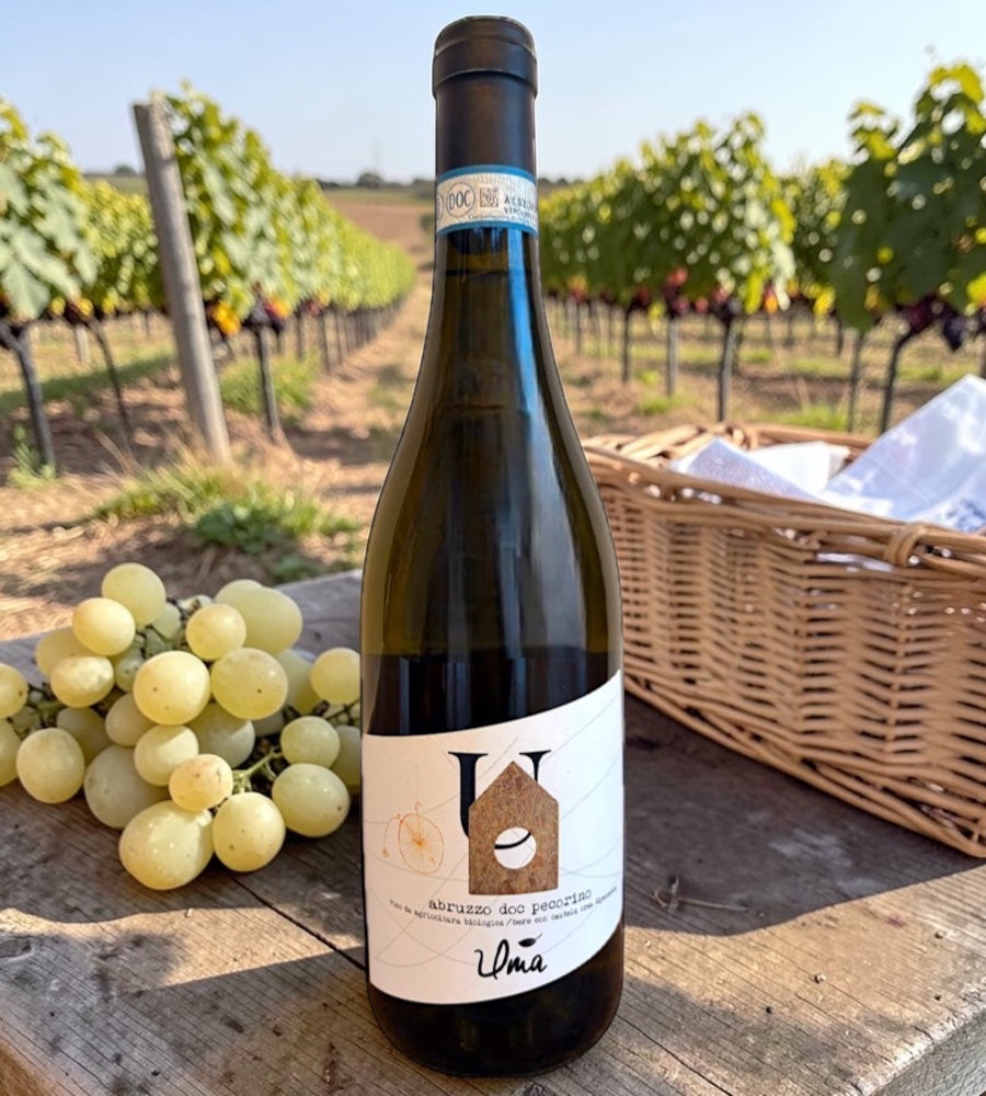 Abruzzo D.O.C. Pecorino Biologico