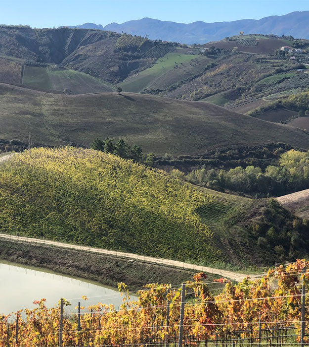 Esperienza di Immersione Completa UMA