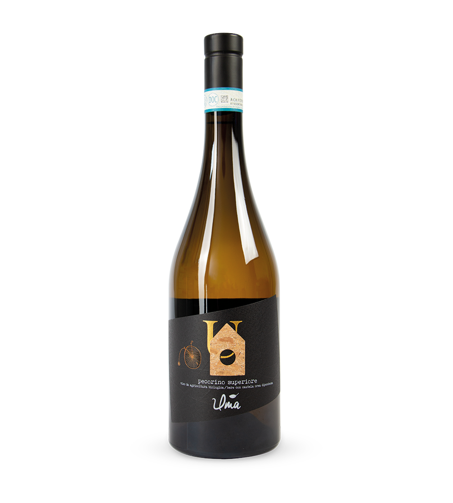 Organic Pecorino Superiore white wine by UMA Casanatura in Abruzzo