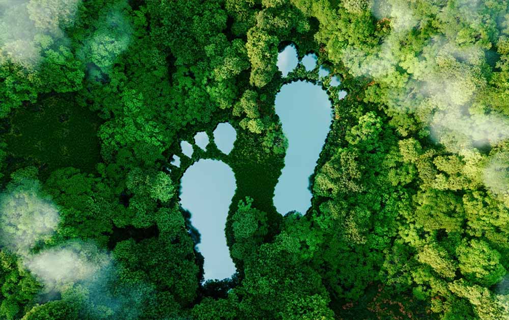 Carbon Neutral Deliveries